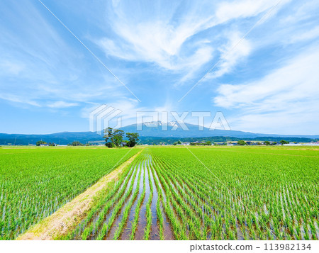 Mt. Chokai as seen from Yuza Town 113982134