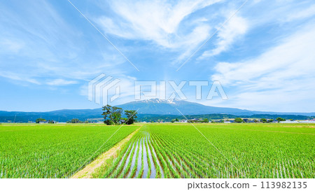 從遊座町眺望鳥海山 113982135