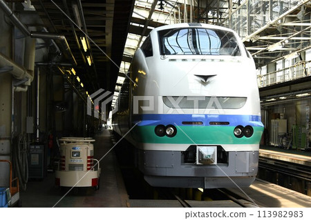 E653 series (Kaminumata color) parked at the depot E653 series (Kaminumata color) parked at the depot 113982983