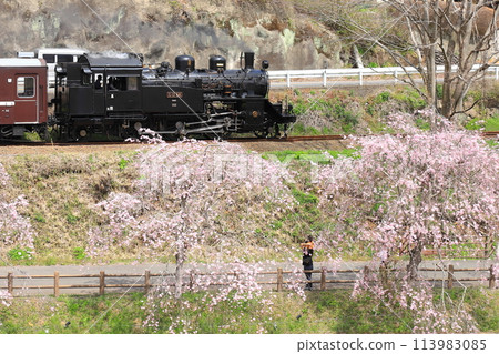 真岡鐵道“櫻花樹下送SL真岡號的父母和孩子” 113983085