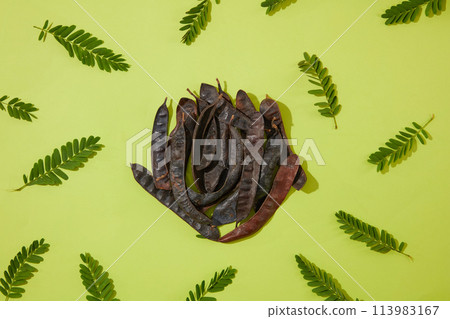 A pile of black locust displayed in center of photo over light green background, decorated by fern branches. Top view photography for designing or advertising A pile of black locust displayed in center of photo over light green background, decorated by fern branches. Top view photography for designing or advertising 113983167