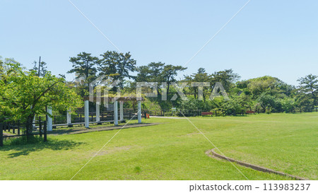 [千葉縣富津市] 千葉縣立富津公園（中之島展望塔附近） 113983237