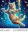 一隻穿著閃閃發光的服裝鋼管舞的貓 113983520