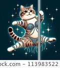 一隻穿著閃閃發光的服裝鋼管舞的貓 113983522