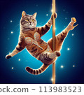 一隻穿著閃閃發光的服裝鋼管舞的貓 113983523