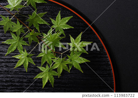 日式意象藍楓背景素材 日式意象藍楓背景素材 113983722