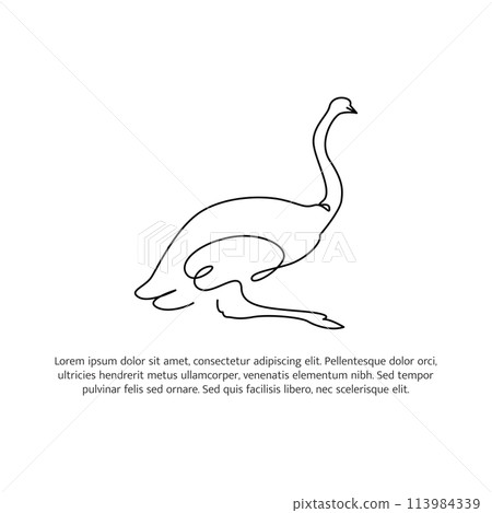 Ostrich line design. Simple animal silhouette decorative elements drawn with one continuous line. Vector illustration of minimalist style on white background. Ostrich line design. Simple animal silhouette decorative elements drawn with one continuous line. Vector illustration of minimalist style on white background. 113984339