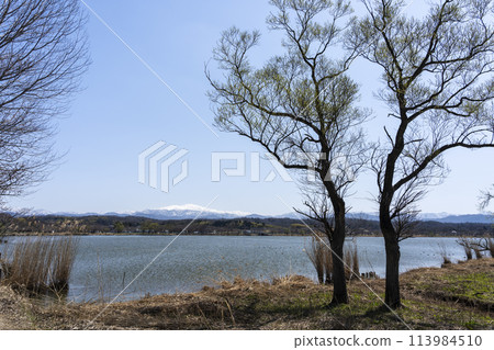The sacred mountain of Mt. Hakusan as seen from Kibagata 113984510