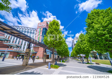 Yokohama cityscape in April, Japan. View of the ferris wheel and Tsuzuki Hankyu Railway in front of Center Kita Station, shining against the fresh greenery and blue sky. Yokohama cityscape in April, Japan. View of the ferris wheel and Tsuzuki Hankyu Railway in front of Center Kita Station, shining against the fresh greenery and blue sky. 113984526
