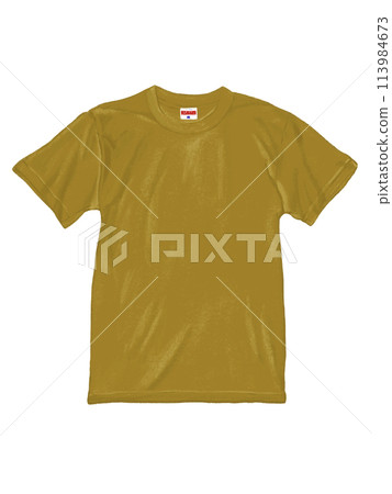 T-shirt (khaki) T-shirt (khaki) 113984673