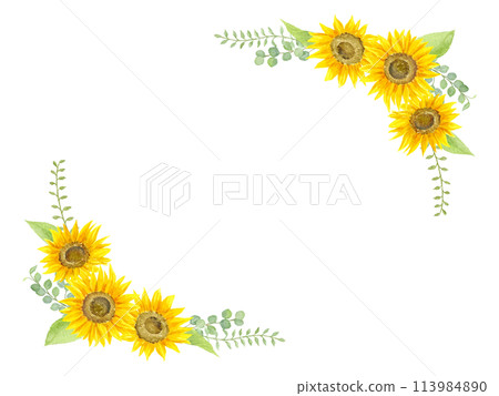 水彩繪的向日葵框架 113984890