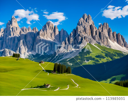 landscape of green field and mountain 113985031