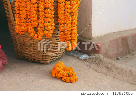 Marigold flower garlands hung on an empty woven basket it used as sacred religious offerings that symbolize surrender to God's power in the practice of Hinduism 113985096