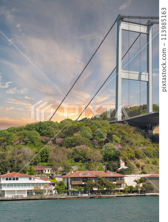 Traditional waterfront houses, Bosphorus bridge, and green hill with dense trees, Istanbul, Turkey before sunset 113985163
