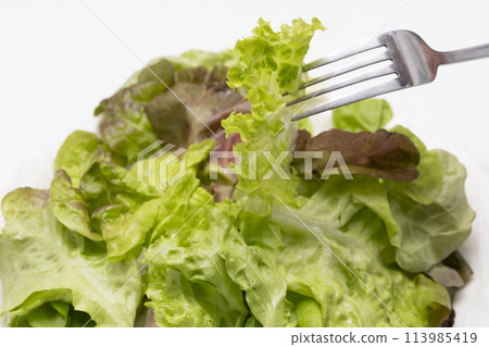 生菜蔬菜沙拉 113985419