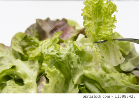 生菜蔬菜沙拉 113985423