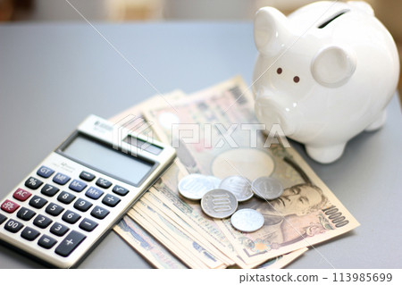 Real estate and finance concept with white piggy bank and Japanese money 113985699