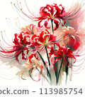 白色背景上的紅色簇孤挺花 [AI 影像] 113985754