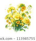 水彩畫的油菜花裝飾框[AI圖像] 113985755