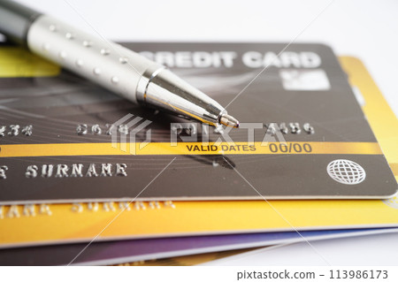 Credit card for online shopping, security finance business concept. Credit card for online shopping, security finance business concept. 113986173