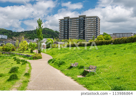 Scenery of Saito Nishi Park, Ibaraki City, Osaka Prefecture 113986864