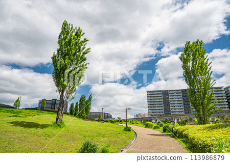 Scenery of Saito Nishi Park, Ibaraki City, Osaka Prefecture 113986879