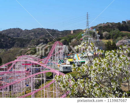 Kamine Leisure Land and Oshima Cherry Blossoms Kamine Leisure Land and Oshima Cherry Blossoms 113987087