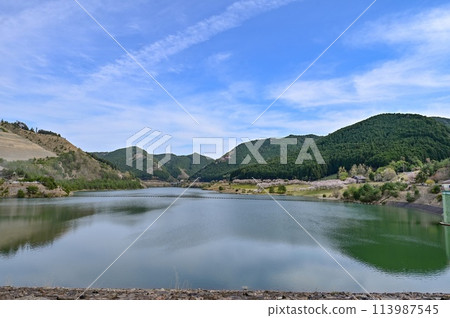 [Shiga] Aodo Dam has a semicircular water outlet. It was a very beautiful dam lake with many cherry blossoms in bloom. 113987545