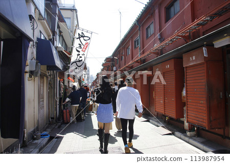 After visiting Sensoji Temple, we walked down the back streets of Nakamise-dori, which is perfect for Instagram. We took lots of photos of cute food and uploaded them on our phones. 113987954