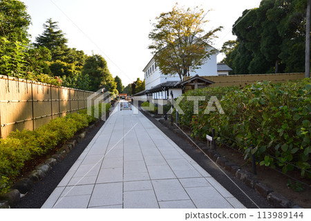 Choshoin 2023-7-30 #64 113989144