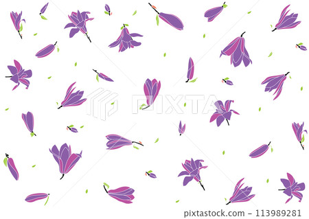 Illustration pattern of Verbanica Saucer Magnolia flower are bloomingwith leaf on white background. Illustration pattern of Verbanica Saucer Magnolia flower are bloomingwith leaf on white background. 113989281