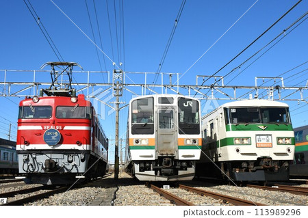 Tohoku Main Line trains lined up at a depot (EF81 electric locomotives, 211 series, 185 series) 113989296