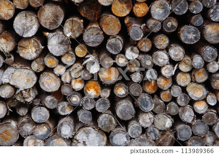 Stacked firewood Stacked firewood 113989366