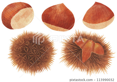 栗子/毛邊套裝水彩觸感 113990032