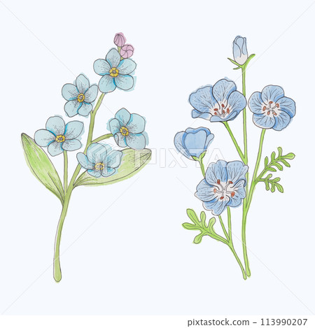Hand-Drawn Blooming Flower - Spring Flower Illustration 113990207