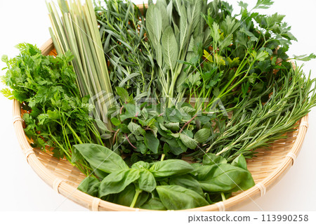 A collection of various herbs A collection of various herbs 113990258