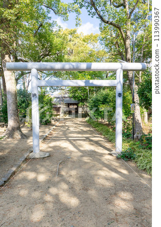 兵庫縣伊丹市宮前市的稻野神社與神明神社 兵庫縣伊丹市宮前市的稻野神社與神明神社 113990367