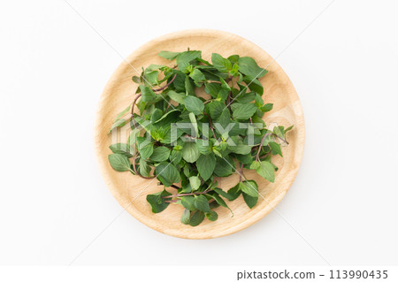 peppermint 113990435