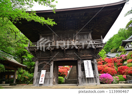 Azalea Temple - Togakuin Temple, Kawasaki City 113990467
