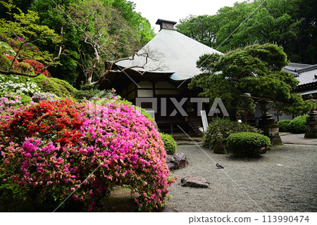 Azalea Temple - Togakuin Temple, Kawasaki City 113990474