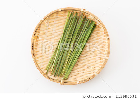 白色背景上的檸檬草 113990531