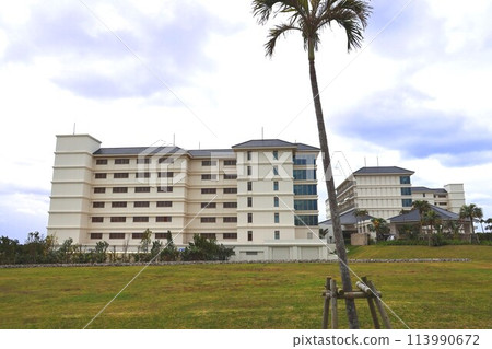 石垣島全日空洲際度假酒店花園 113990672