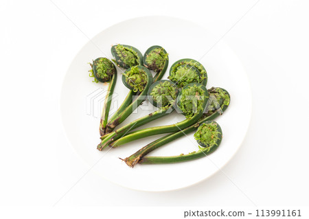 Garlic of wild vegetables Garlic of wild vegetables 113991161