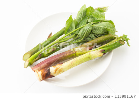 野菜烏龍麵 113991167