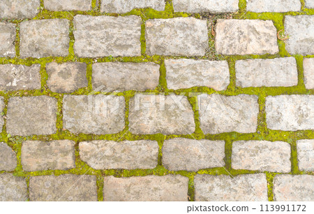 Old stone road with green grass growing between the gray blocks. High quality photo 113991172