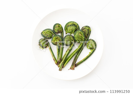 Garlic of wild vegetables Garlic of wild vegetables 113991250