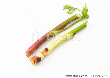 野菜烏龍麵 113991253