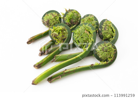 Garlic of wild vegetables 113991259