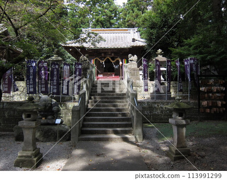 栃木縣下野市星宮神社境內 栃木縣下野市星宮神社境內 113991299