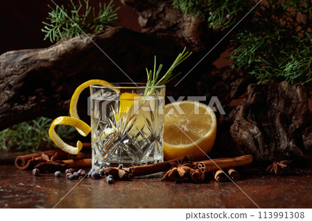 Cocktail gin-tonic with lemon, cinnamon, anise, and juniper berries. 113991308